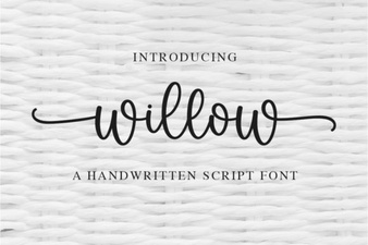 Willow Font: a Creative Toolkit for Modern Design
